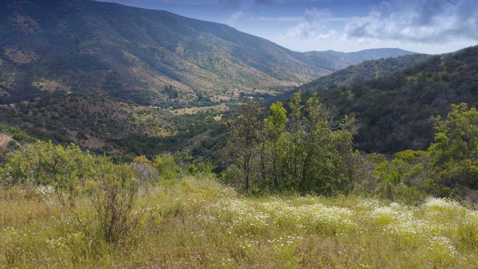 Panoramica_1